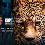 COP16 Convenio de Biodiversidad