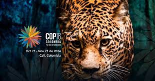 COP16 Convenio de Biodiversidad